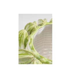 KDesign Wazon Carambola 23 cm